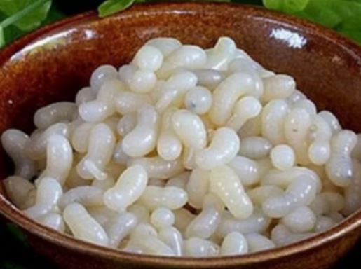 Trứng con này một năm chỉ xuất hiện một lần, nó là đặc sản tiếp khách quý của người Tây Bắc, giá 500.000 đồng/kg