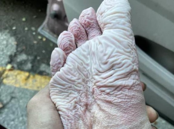 Con người là sinh vật độc nhất trong vũ trụ nhờ những chi tiết khiến ai nghe qua cũng phải 'há hốc' này