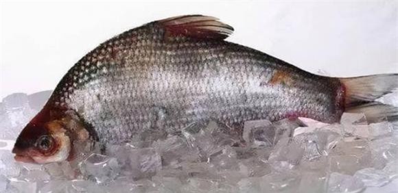 1-luu-y-khi-mua-ca-ngoisaovn-w640-h312 3 những loại cá không nên mua, cá không tốt cho sức khỏe, chăm sóc sức khỏe
