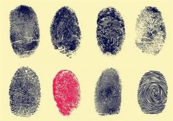 dấu vân tây, nhận dạng dấu vân tay, chỉ điểm vân tay
