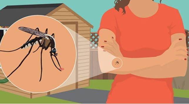 M&#x1EB7;c qu&#x1EA7;n &#xE1;o m&#xE0;u g&#xEC; &#x111;&#x1EC3; kh&#xF4;ng b&#x1ECB; mu&#x1ED7;i &#x111;&#x1ED1;t?