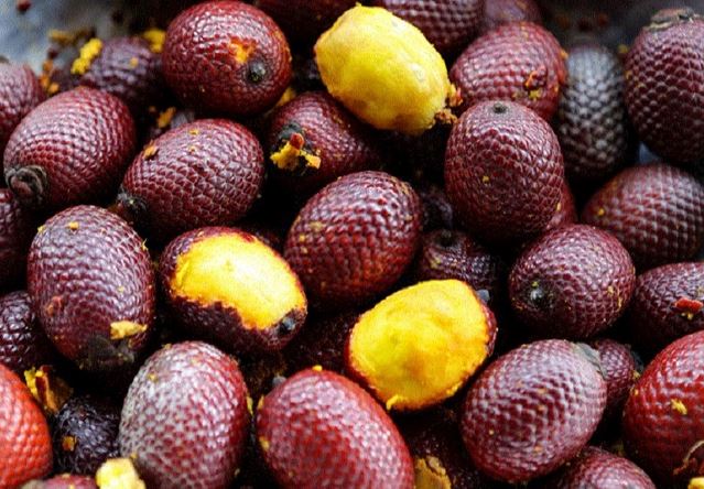 V&#xEC; sao qu&#x1EA3; Aguaje &#x111;&#x1B0;&#x1EE3;c c&#xE1;c ch&#x1ECB; em ph&#x1EE5; n&#x1EEF; s&#x103;n l&#xF9;ng? C&#xF3; gi&#xE1; b&#xE1;n l&#xEA;n t&#x1EDB;i 500.000 &#x111;&#x1ED3;ng/kg