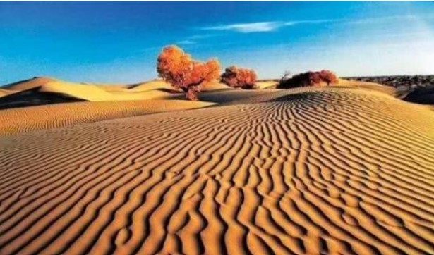 Có rất nhiều cát trong sa mạc, tại sao không sử dụng nó để xây nhà?