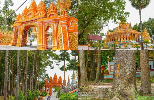 Ngôi chùa duy nhất ở Việt Nam được phủ kín bởi hàng trăm cây sao cổ thụ thuộc loại gỗ quý nước ta