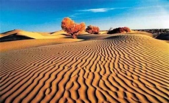 sa mạc, khám phá thiên nhiên, xây nhà