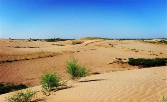 sa mạc, khám phá thiên nhiên, xây nhà