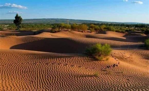 sa mạc, khám phá thiên nhiên, xây nhà