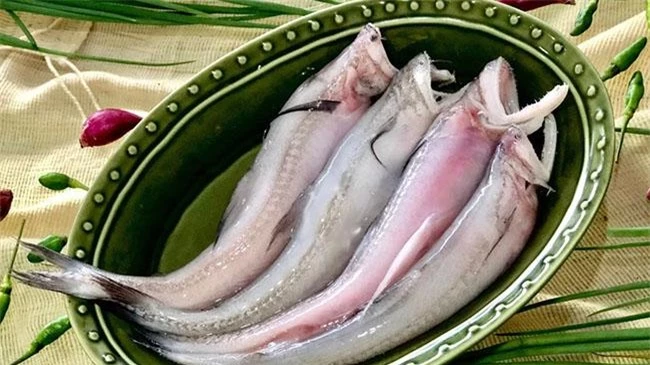 Loài cá thân mềm như cháo, hương vị tuyệt ngon mà giá chỉ hơn 200.000 đồng/kg - 4