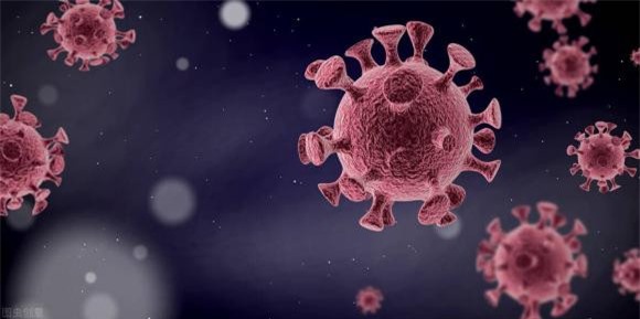 ken-ken (1).jpeg 5 kền kền, động vật ăn thịt, khám phá thiên nhiên