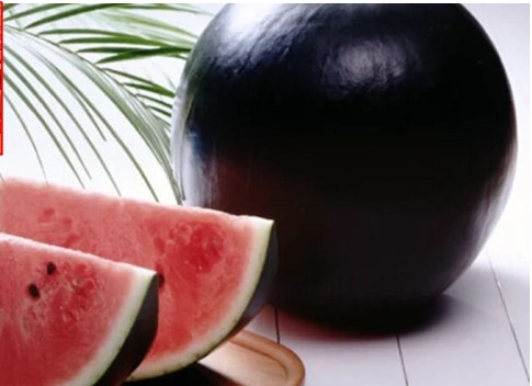 Loại dưa hấu đắt nhất thế giới: Có quả giá ngang chiếc xe máy SH, mỗi lần thu hoạch chỉ được vài chục quả