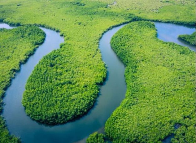 Giải mã tại sao các dòng sông không bao giờ chảy theo đường thẳng?