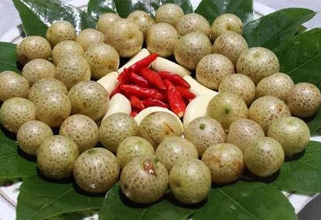 Thứ quả được ví là “gia vị vạn năng” của người Tày, là nguyên liệu làm món măng muối ngon bất bại, giá 150.000 đồng/kg