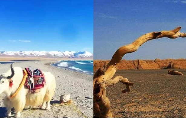 Thành phố duy nhất ở Trung Quốc không có lấy một bóng cây, ngàn năm không trồng được cây xanh nào dù thử mọi cách