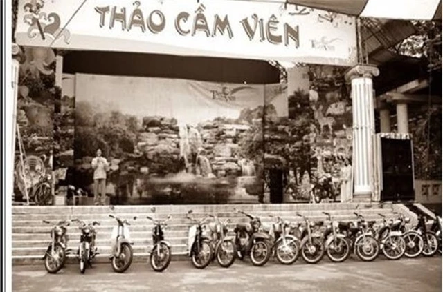 cha-de-thao-cam-vien-4