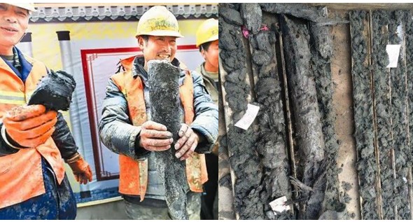 Đội công nhân vô tình thấy gỗ quý dài gần 2m, chuyên gia nhận định là 'bảo vật' hiếm có khó tìm