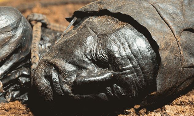 7 xác ướp nổi tiếng hé lộ bí mật về thế giới cổ đại