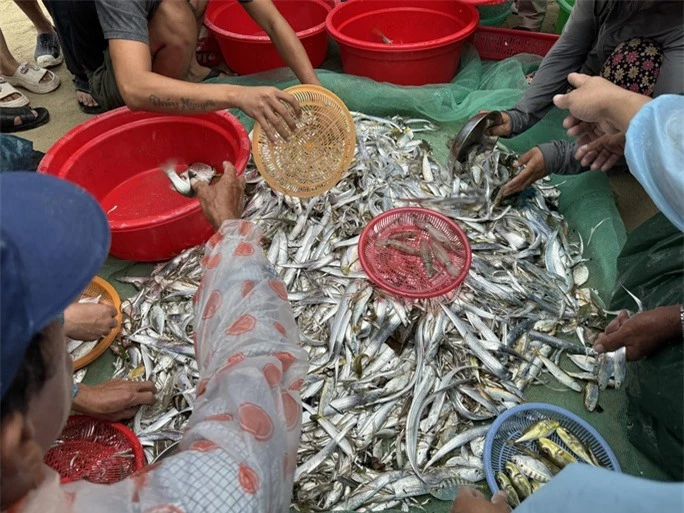 Độc đáo cảnh kéo lưới gần bờ của ngư dân Đà Nẵng mùa biển động - Ảnh 6.