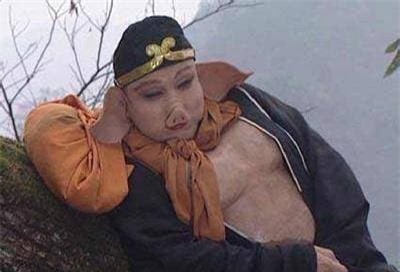 Tây Du Ký, Trư Bát Giới, Tôn Ngộ Không