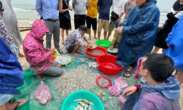 Độc đáo cảnh kéo lưới gần bờ của ngư dân Đà Nẵng mùa biển động