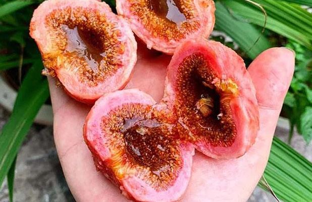 Thứ quả nghe tên đã muốn “né”, ăn xong thì lại thích mê vì ngon và tốt cho sức khỏe, giá 40.000 đồng/kg