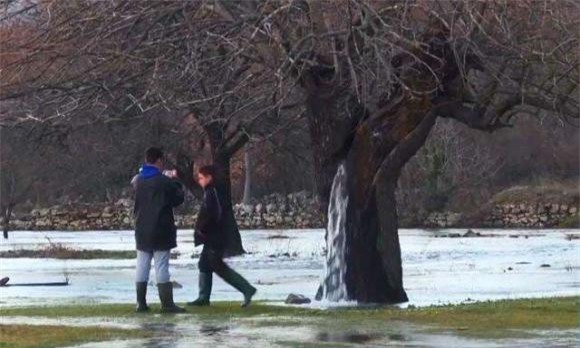 cay-phun-nuoc (1).jpeg 0 cây phun nước, cây kì lạ, khám phá thiên nhiên