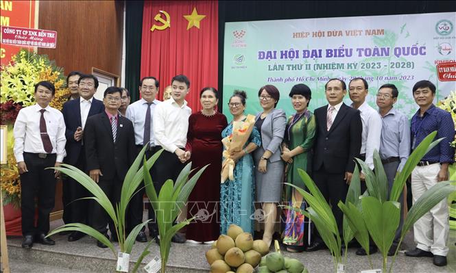 Ngành dừa Việt Nam hướng tới mục tiêu xuất khẩu tỷ USD