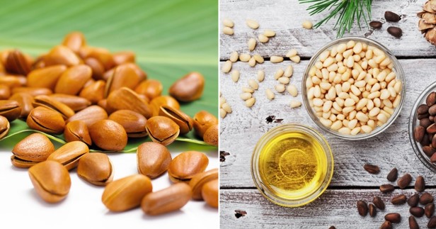 Loại hạt được ví như ‘hạt trường sinh’, xưa ở Việt Nam rụng đầy gốc nay trở nên đắt đỏ cả thế giới yêu thích