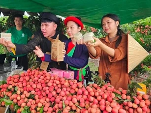 Giải bài toán tiêu thụ nông sản trên nền tảng số