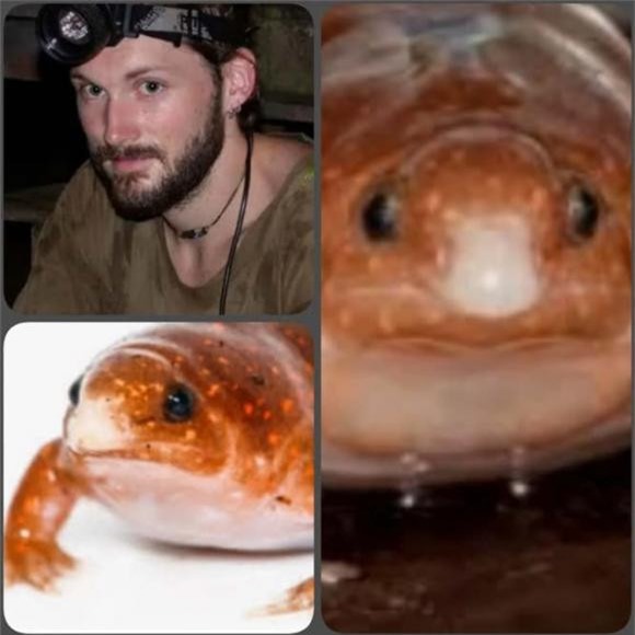 Zombie (1).jpg 3 ếch thây ma, ếch zombie, rừng nhiệt đới Amazon