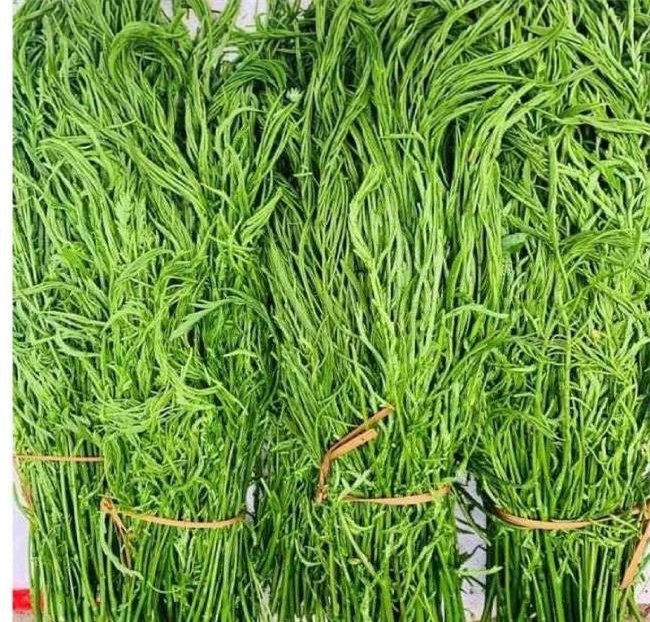 Loại rau được ví là “vua giải nhiệt” mùa hè, ăn thường xuyên mát gan, là đặc sản của Tây Bắc, giá gần 200.000 đồng/kg - 1