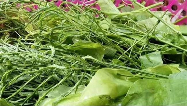 Loại rau được ví là “vua giải nhiệt” mùa hè, ăn thường xuyên mát gan, là đặc sản của Tây Bắc, giá gần 200.000 đồng/kg - 3