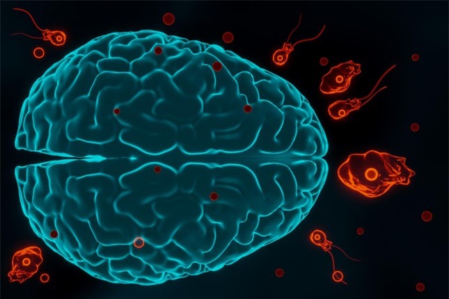 Phát hiện sinh vật ăn não người ở suối nước nóng ảnh 3