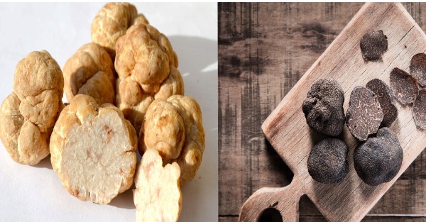 Loại thực vật được ví như 'vàng' trong ẩm thực, thuộc loại đắt đỏ nhất thế giới nhờ độ quý hiếm