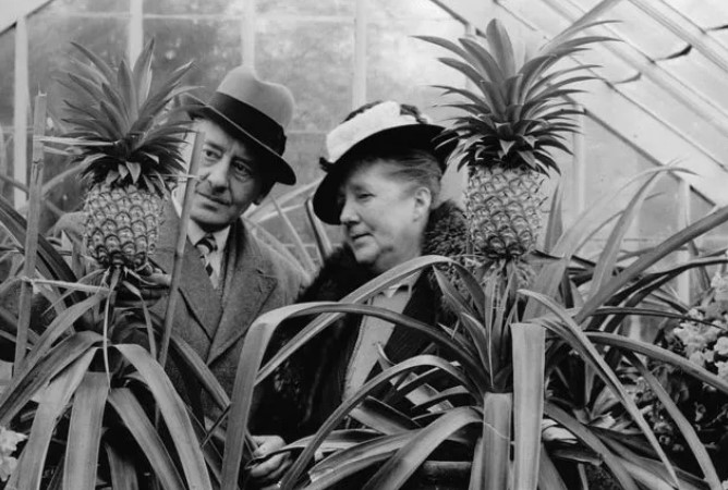 1 loại quả Việt Nam bán tràn lan khắp chợ nhưng lại từng là xa xỉ phẩm của giới quý tộc Anh