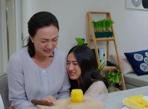 Vào phòng mẹ chồng nhìn thấy chiếc ảnh nhỏ xíu, tôi bủn rủn nhận ra mẹ đẻ mình