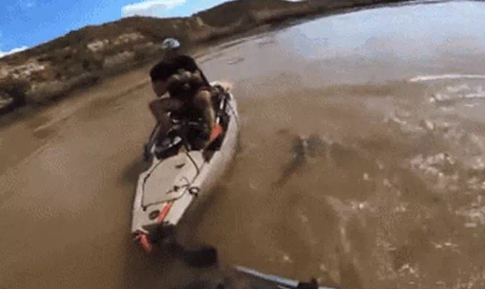 Clip: Cần thủ tát “quái thú” trên sông nhận lại đòn phản công bất ngờ