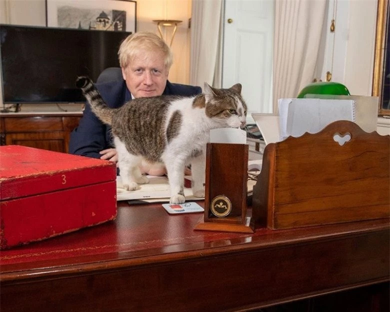 Gặp gỡ chú mèo “quyền lực” nhất nước Anh, 12 năm làm việc cho chính phủ, thường xuyên tiếp đón chính trị gia - 5