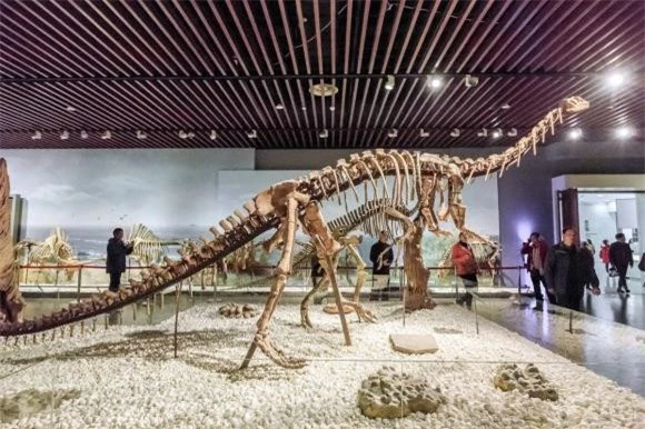 khủng long, hoá thạch, người đầu tiên phát hiện ra khủng long, khám phá khoa học, Tiến sĩ Mantel