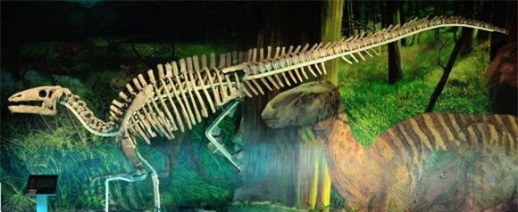 khủng long, hoá thạch, người đầu tiên phát hiện ra khủng long, khám phá khoa học, Tiến sĩ Mantel