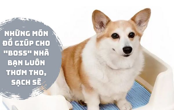 Bỏ túi ngay 7 món đồ có thể giúp "boss" nhà bạn luôn thơm tho, sạch sẽ, có món chỉ 60 ngàn