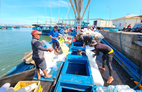 Siết hoạt động khai thác thủy sản bất hợp pháp, quyết tâm thoát "thẻ vàng" EU