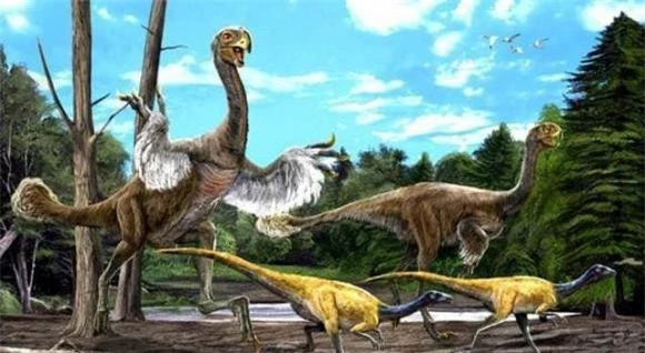 khủng long, tiến hoá, gà, khám phá khoa học