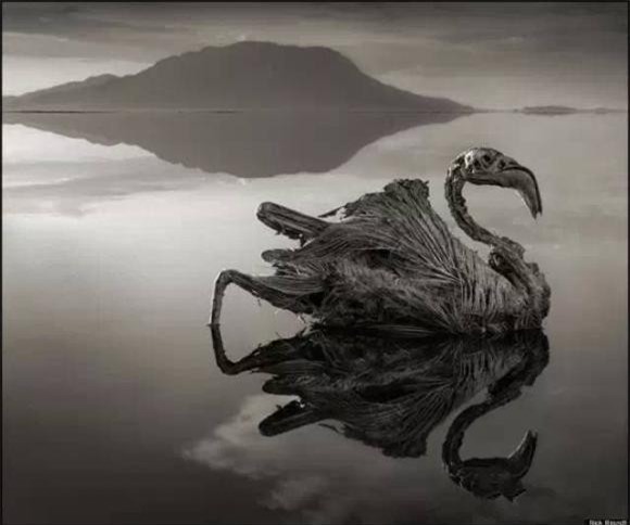  hồ Natron, sông Styx, hồ hóa đá, hồ nước kì lạ