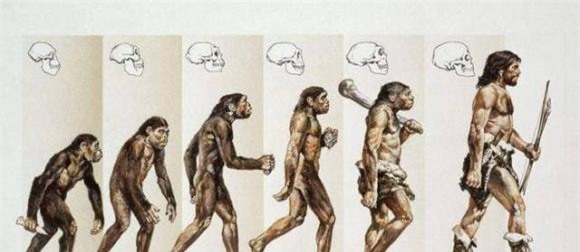 dan-ong-dau-tien (1).jpeg 2 người đàn ông đầu tiên, tiến hoá, loài vượn