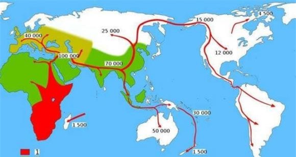 dan-ong-dau-tien (1).jpeg 4 người đàn ông đầu tiên, tiến hoá, loài vượn