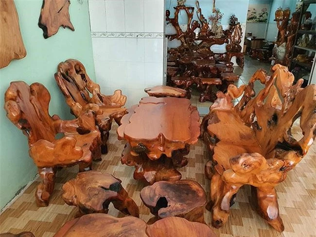 Ở Việt Nam loại gỗ được xem là “báu vật”, giá lên tới cả tỷ đồng, thương lái Trung Quốc săn lùng ráo riết - 9