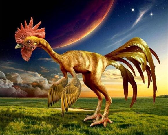 ga-de (1).jpeg 9 Tổ tiên của loài gà có thực sự là khủng long?, gà, tổ tiên, khủng long, tiến hóa