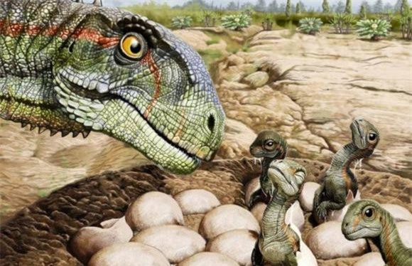 ga-de (1).jpeg 7 Tổ tiên của loài gà có thực sự là khủng long?, gà, tổ tiên, khủng long, tiến hóa