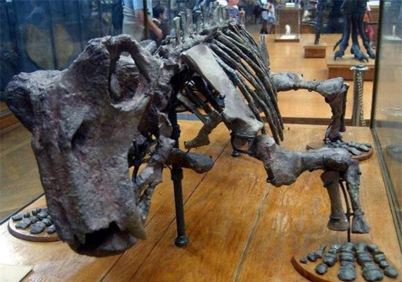 thuy-long-thu (1).jpeg 6  khủng long, bá chủ trái đất,