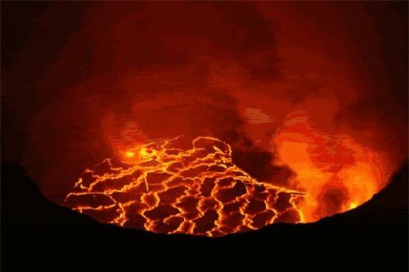 thuy-long-thu (1).jpeg 1  khủng long, bá chủ trái đất,